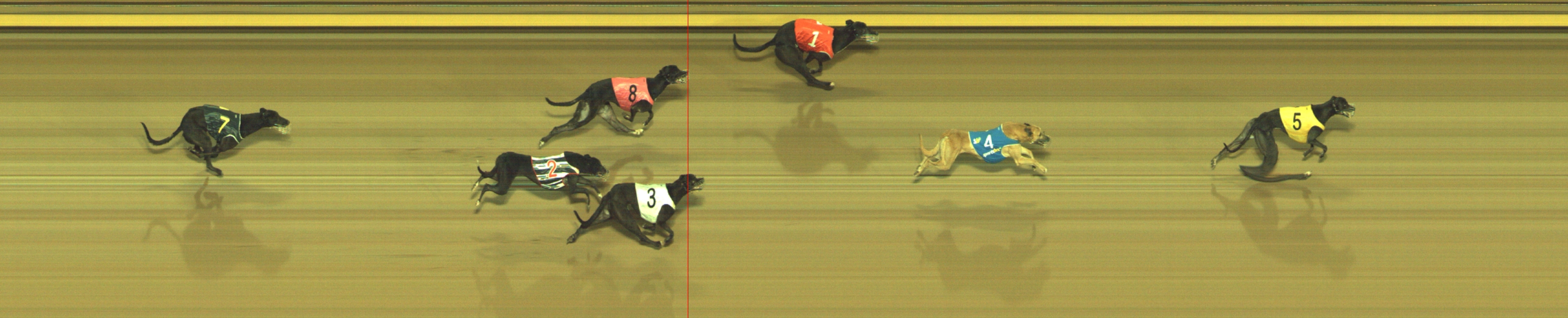 Photo finish for Geelong Race 11
