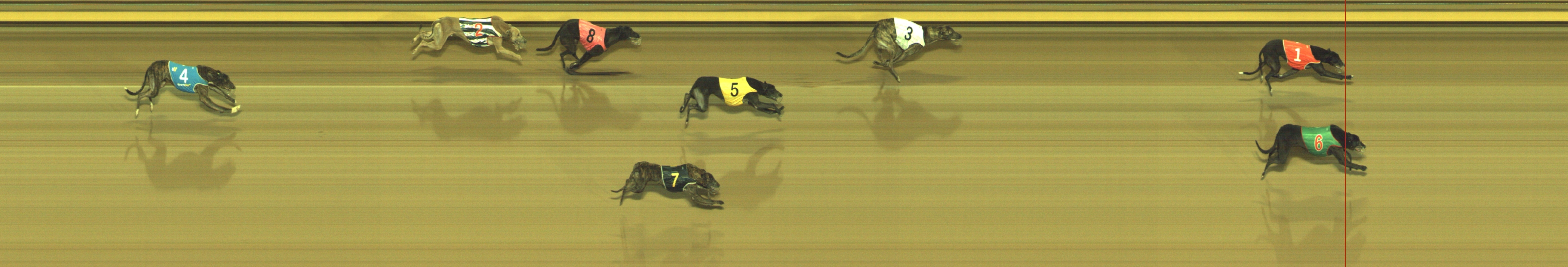Photo finish for Geelong Race 12