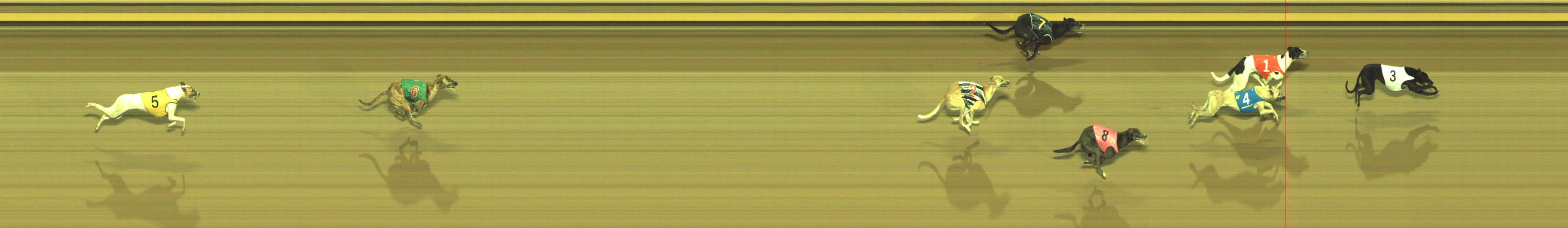 Photo finish for Geelong Race 2