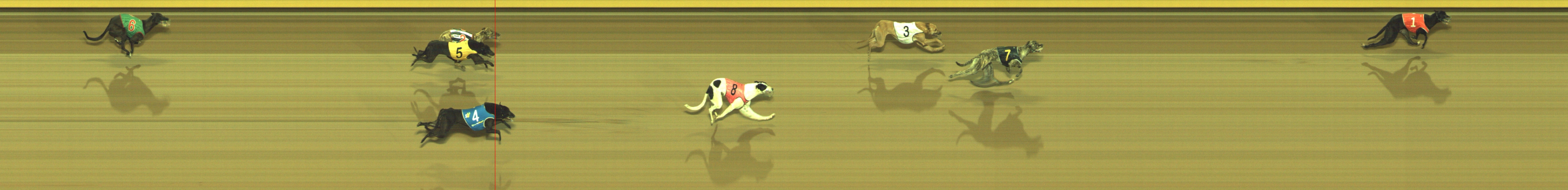 Photo finish for Geelong Race 3