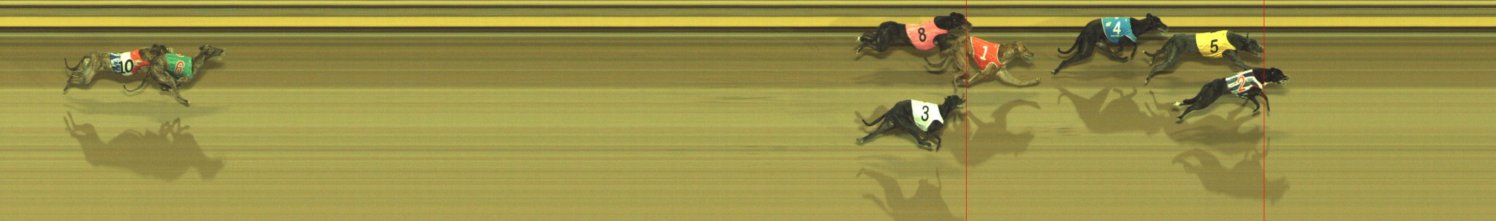 Photo finish for Geelong Race 4