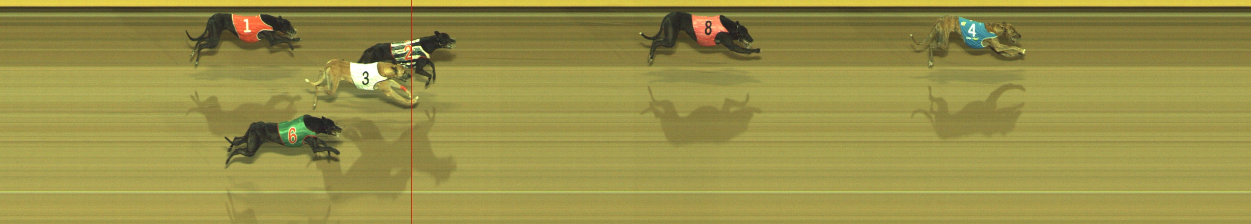 Photo finish for Geelong Race 5