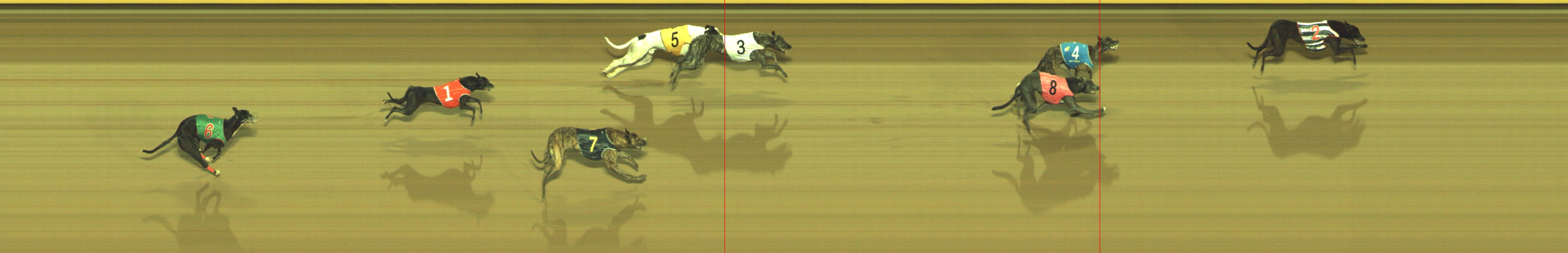 Photo finish for Geelong Race 6