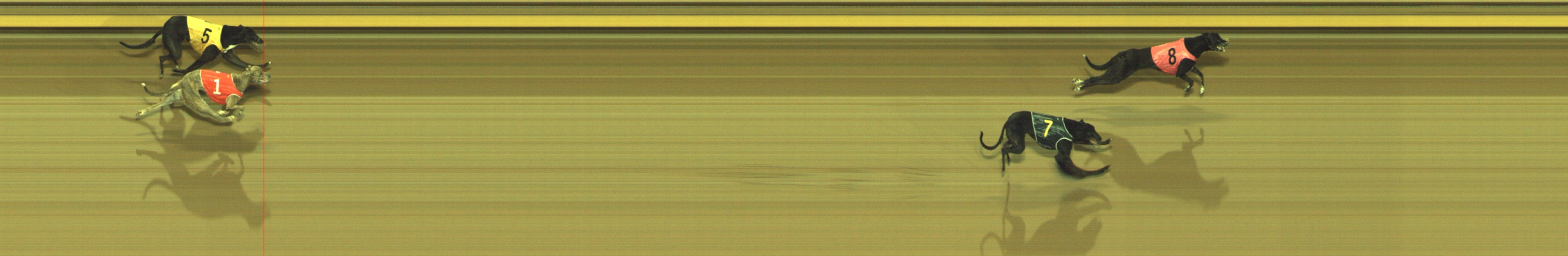 Photo finish for Geelong Race 7