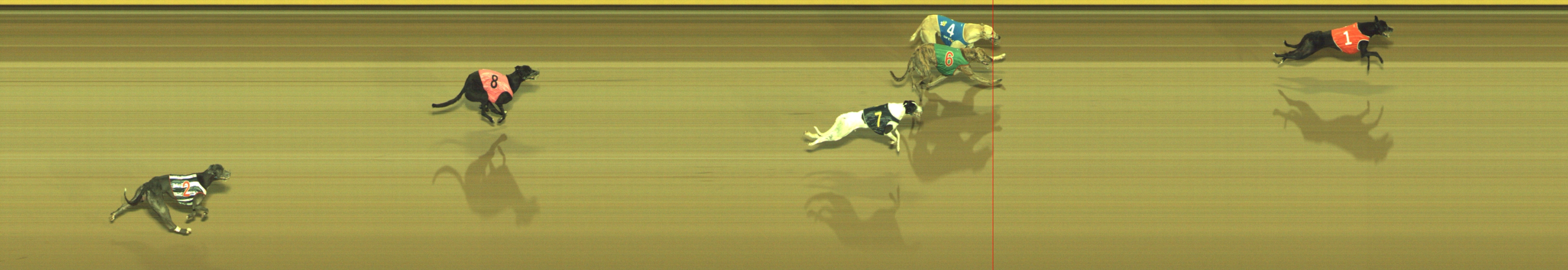 Photo finish for Geelong Race 8