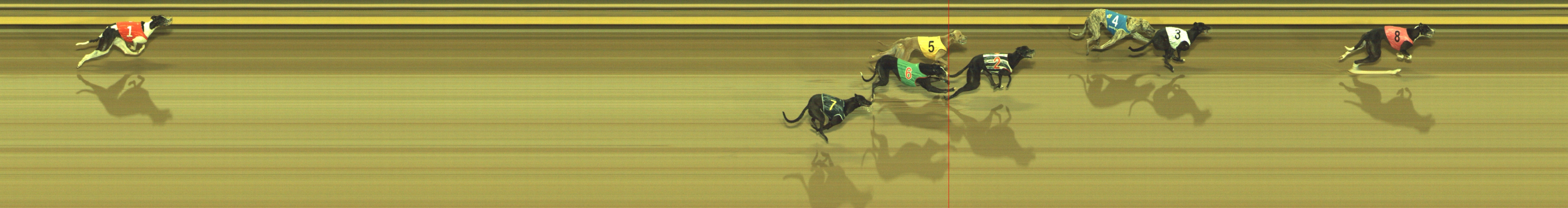 Photo finish for Geelong Race 9