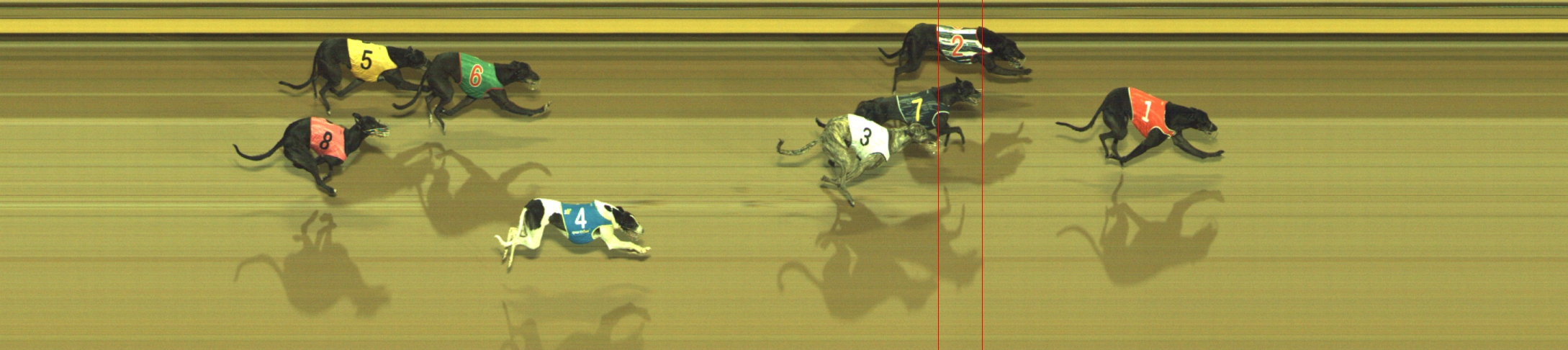Photo finish for Geelong Race 10