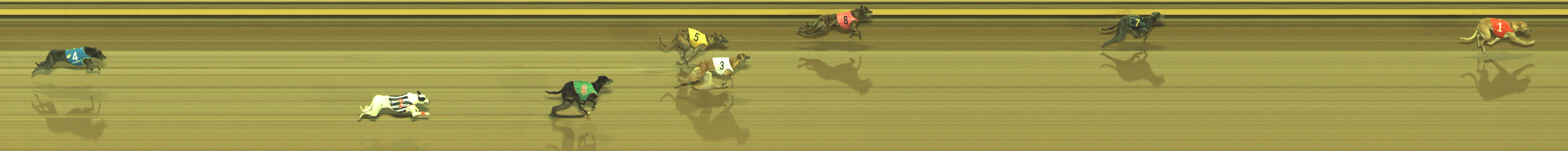 Photo finish for Geelong Race 11