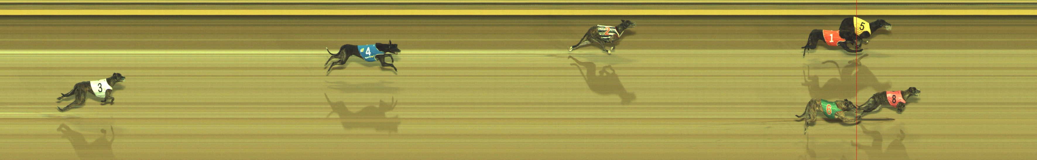 Photo finish for Geelong Race 12