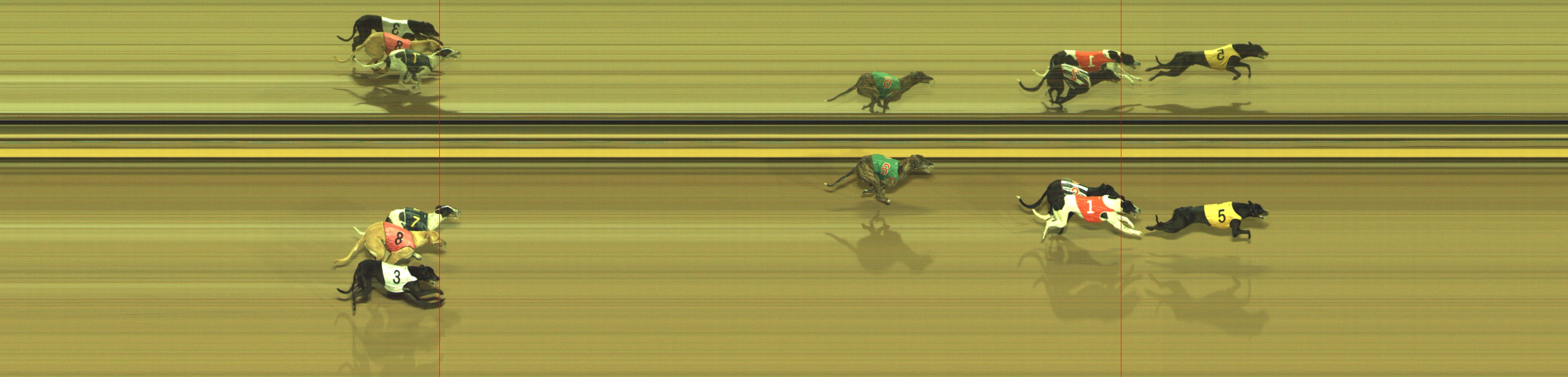 Photo finish for Geelong Race 1