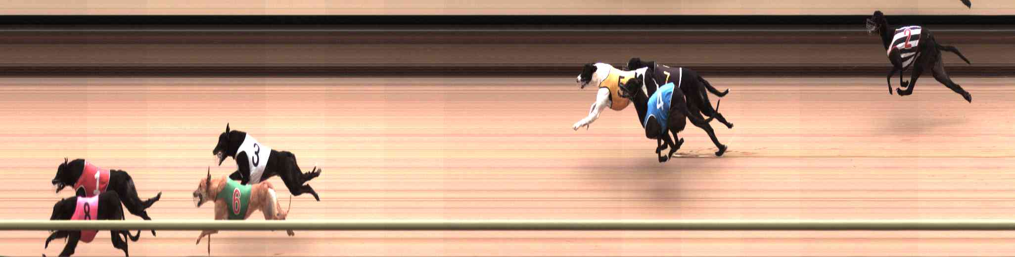 Photo finish for Healesville Race 4