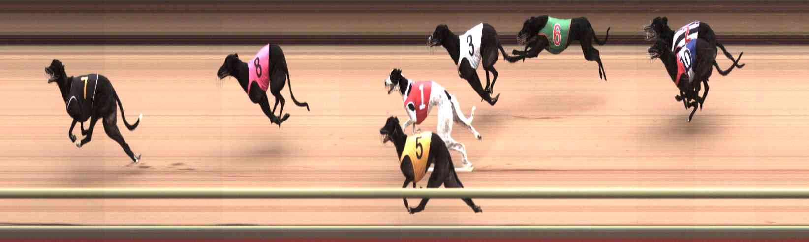 Photo finish for Healesville Race 6