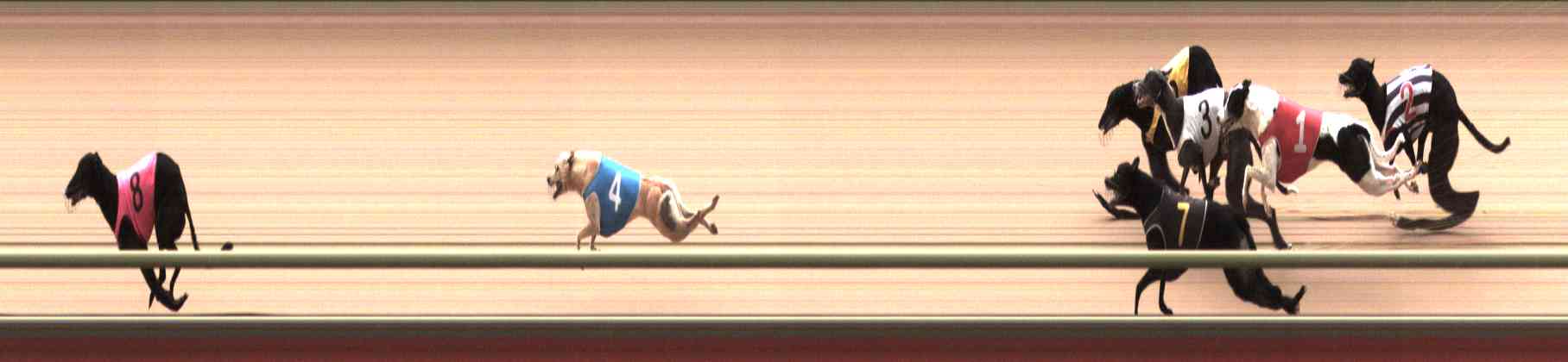 Photo finish for Healesville Race 7