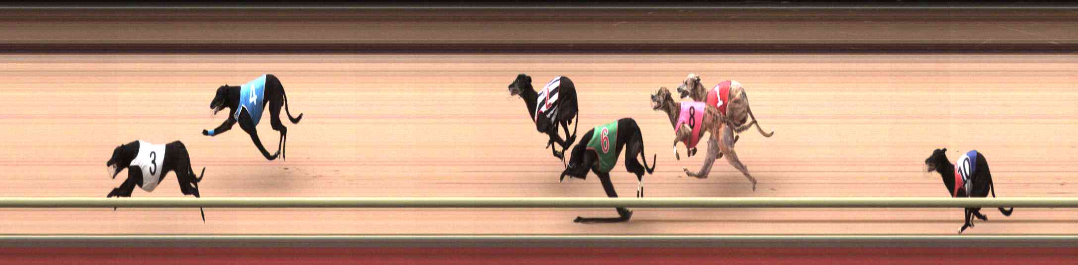 Photo finish for Healesville Race 9