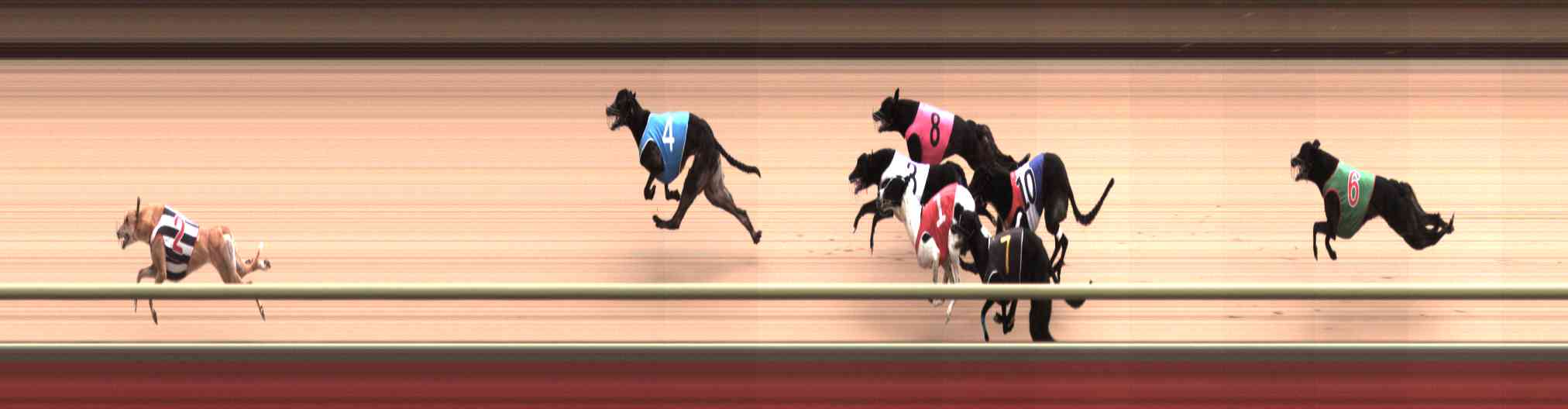 Photo finish for Healesville Race 11