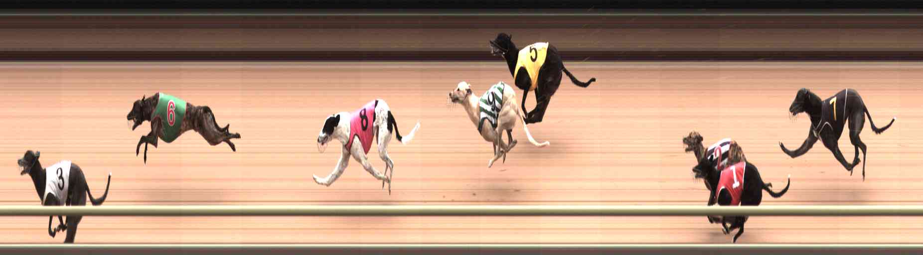 Photo finish for Healesville Race 7