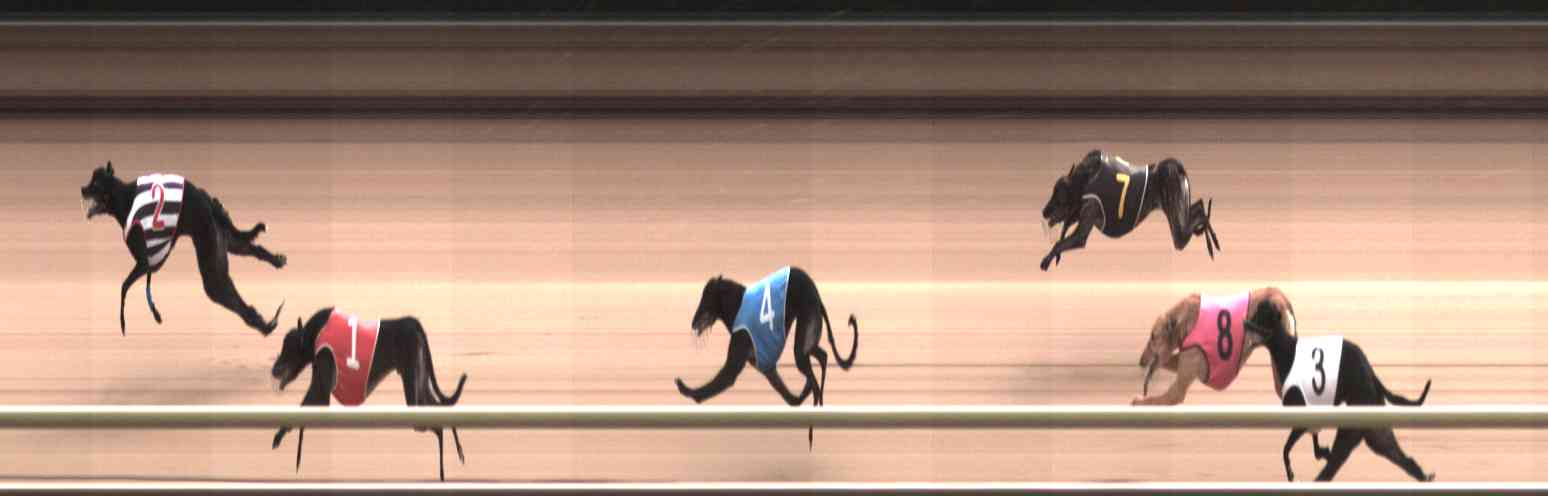 Photo finish for Healesville Race 10