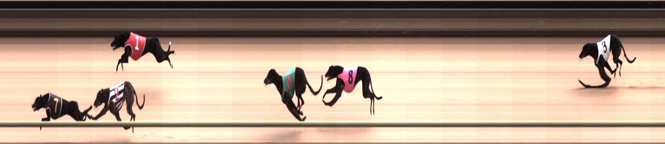 Photo finish for Healesville Race 4