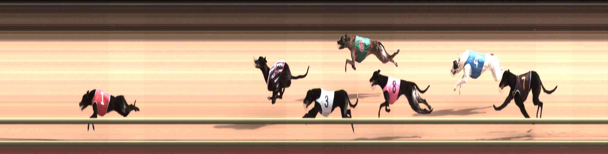 Photo finish for Healesville Race 4