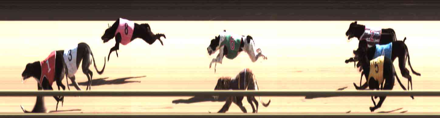 Photo finish for Healesville Race 6
