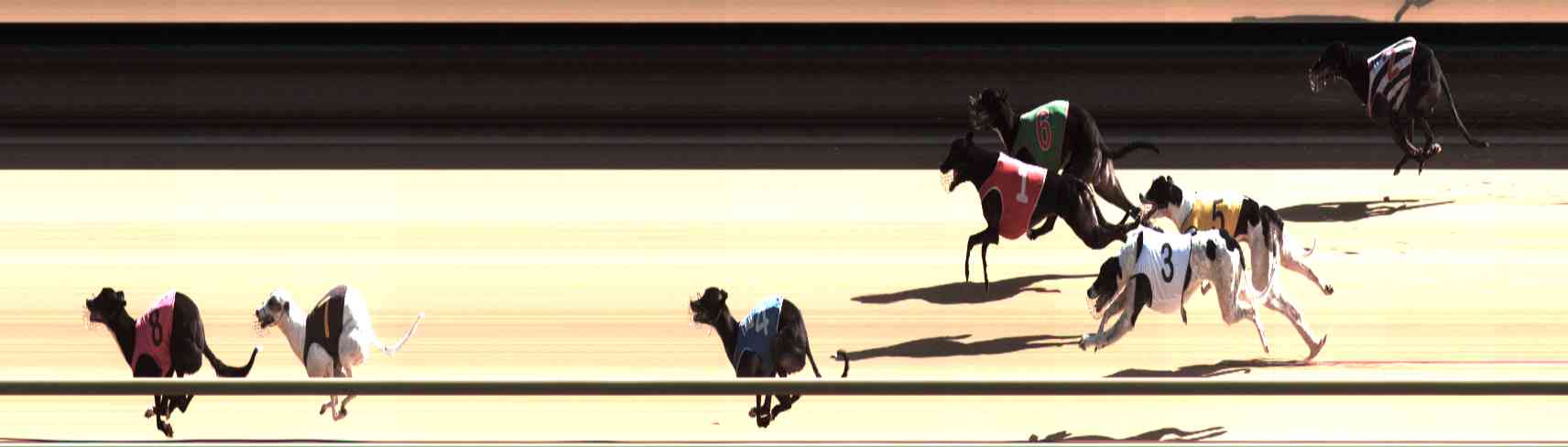 Photo finish for Healesville Race 6