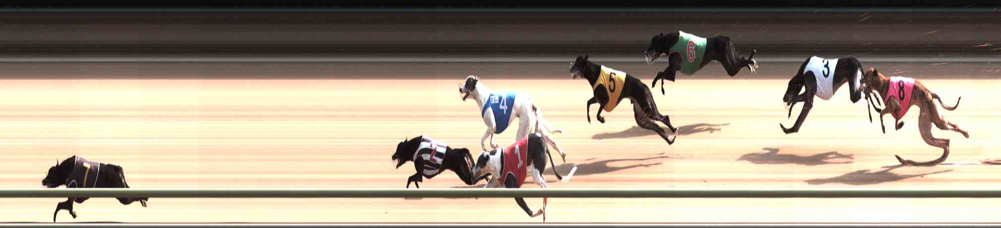 Photo finish for Healesville Race 7