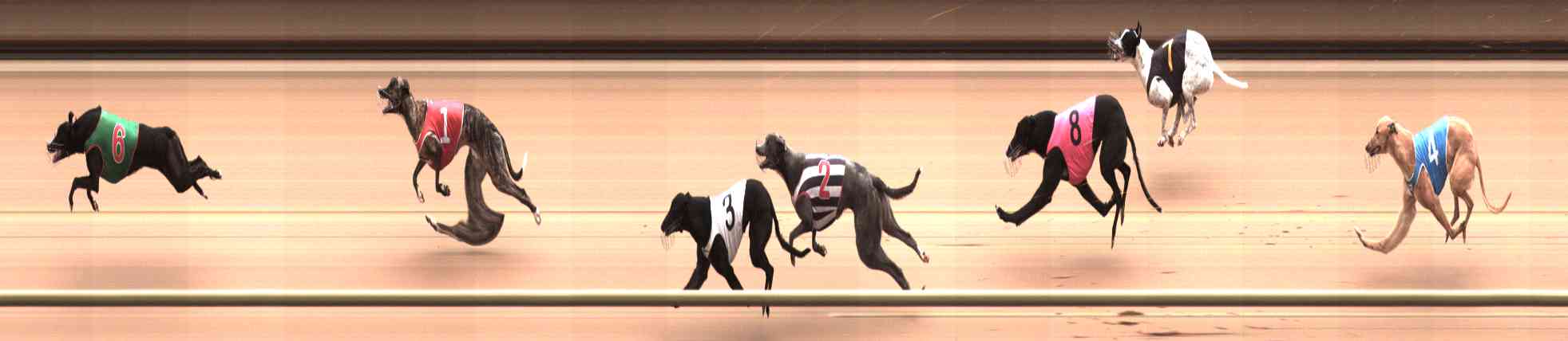Photo finish for Healesville Race 2
