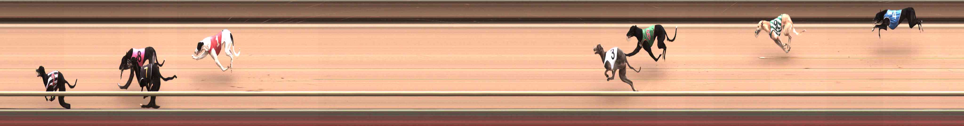 Photo finish for Healesville Race 3