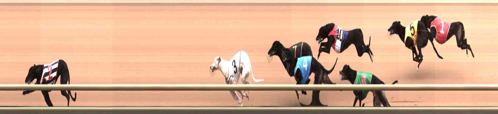 Photo finish for Healesville Race 4
