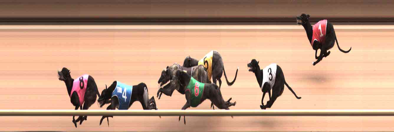 Photo finish for Healesville Race 6