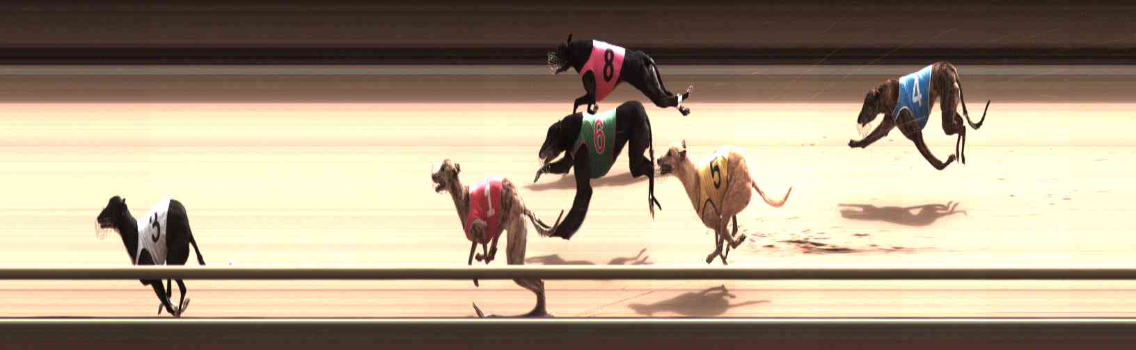 Photo finish for Healesville Race 9