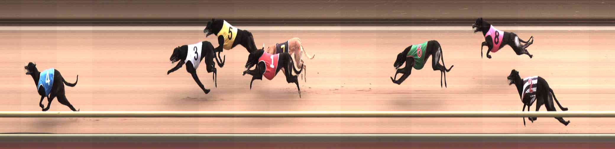 Photo finish for Healesville Race 12