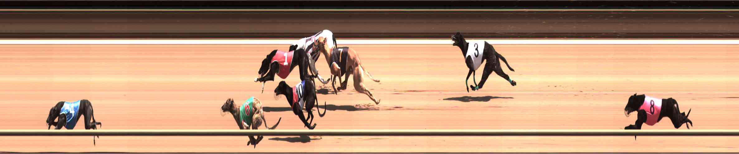 Photo finish for Healesville Race 5