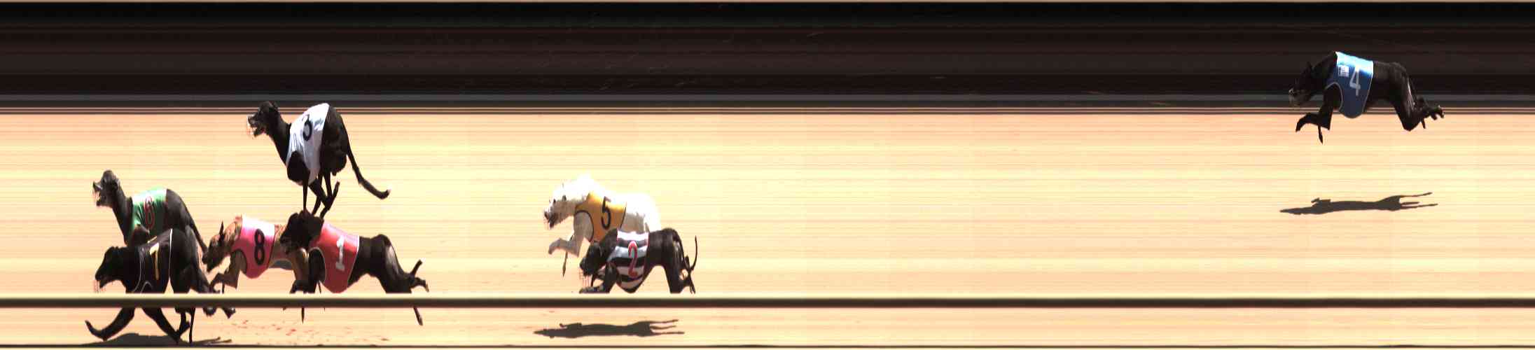 Photo finish for Healesville Race 9