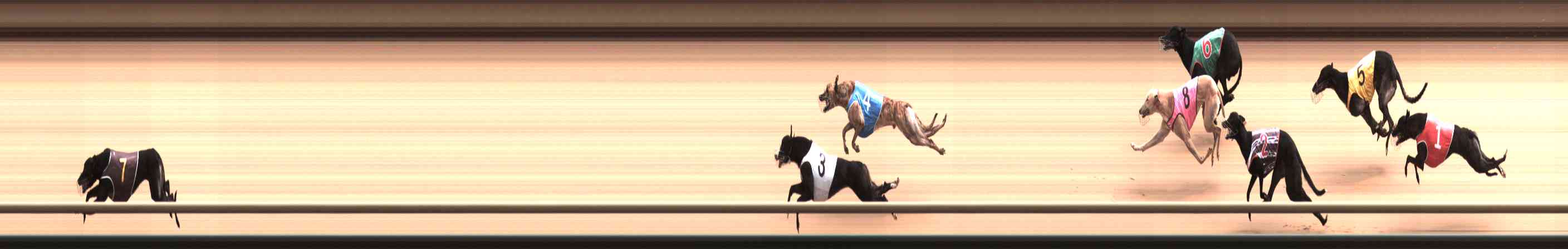Photo finish for Healesville Race 7