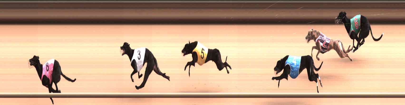 Photo finish for Healesville Race 2