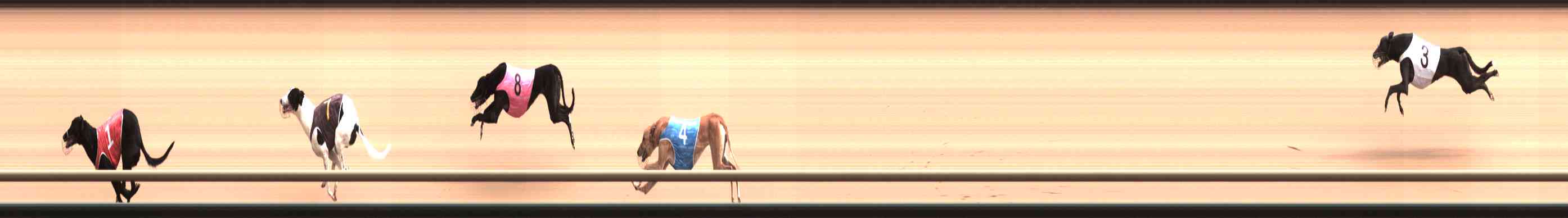 Photo finish for Healesville Race 4