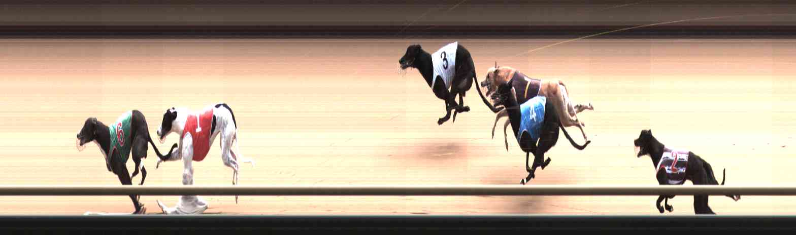 Photo finish for Healesville Race 10