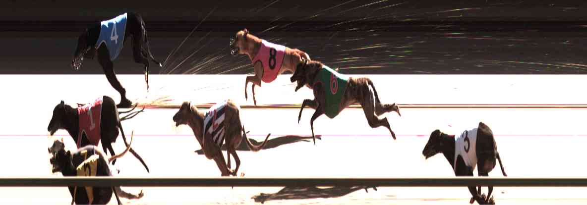 Photo finish for Healesville Race 10