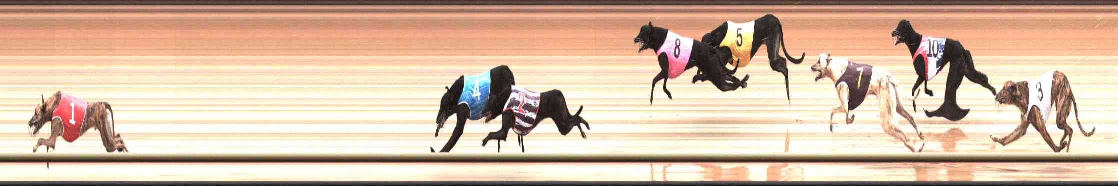 Photo finish for Healesville Race 4