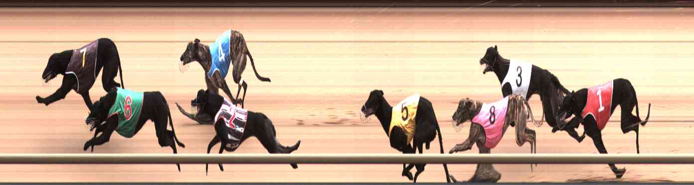 Photo finish for Healesville Race 8