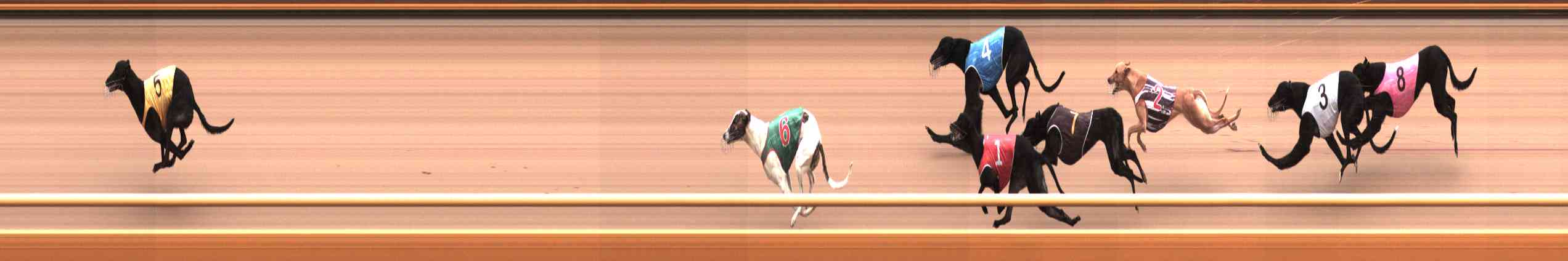 Photo finish for Healesville Race 3