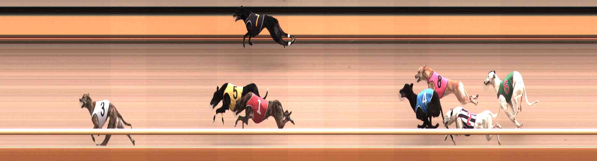 Photo finish for Healesville Race 2