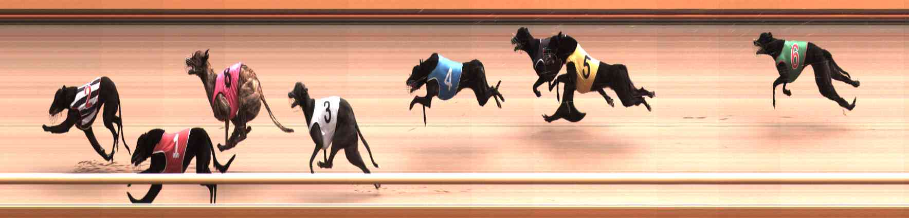 Photo finish for Healesville Race 3