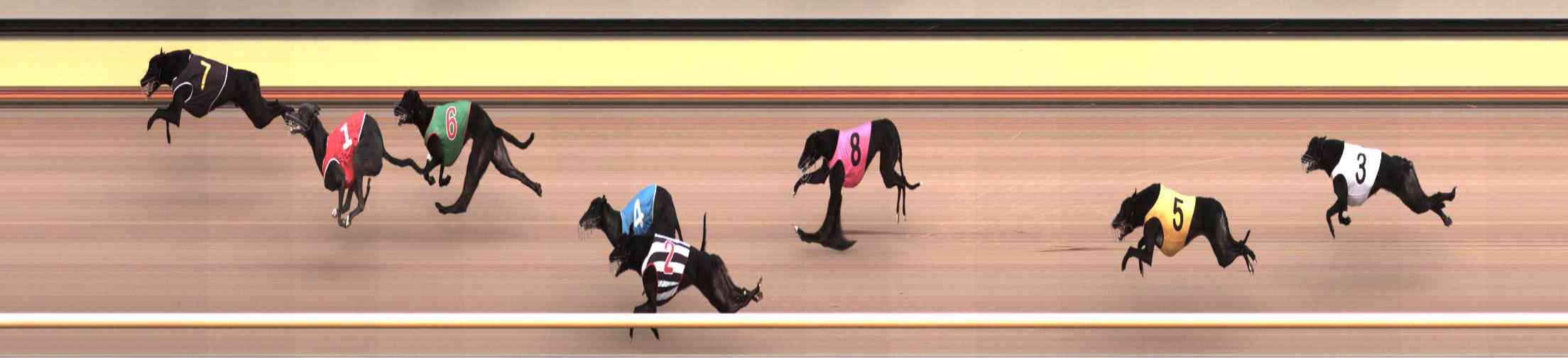 Photo finish for Healesville Race 9