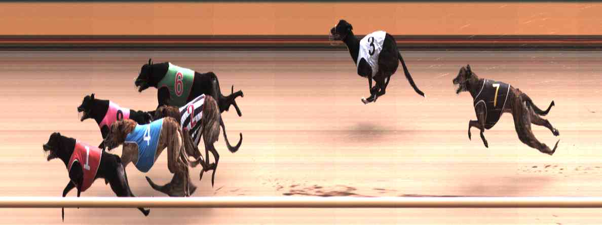 Photo finish for Healesville Race 10