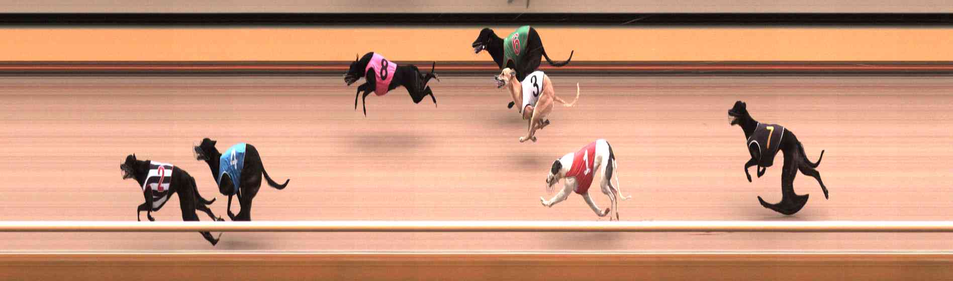 Photo finish for Healesville Race 11