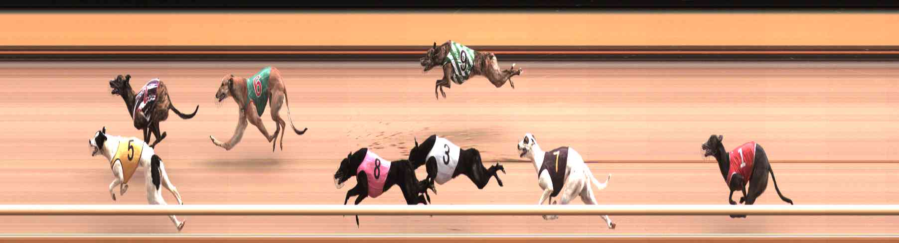 Photo finish for Healesville Race 3