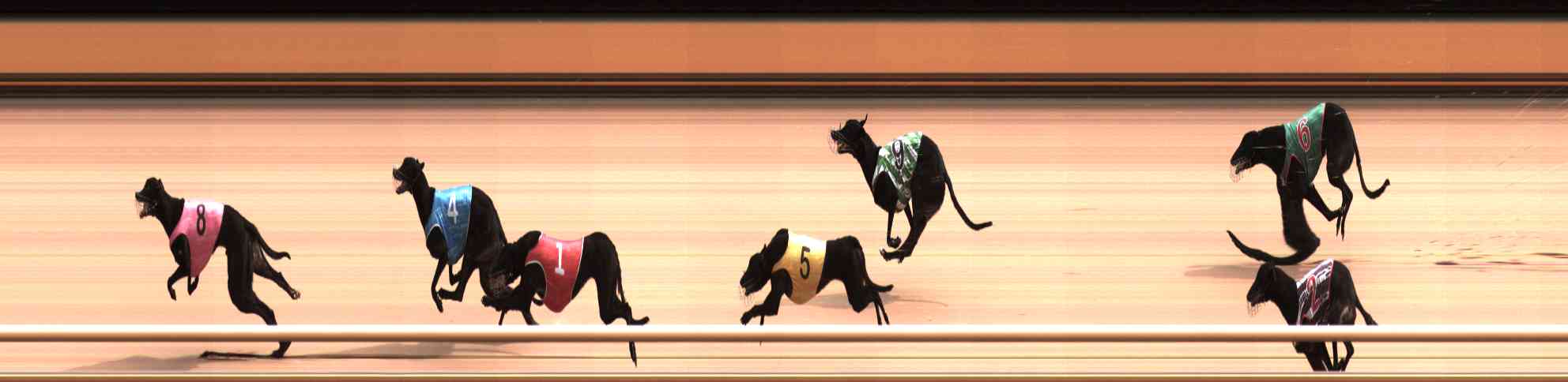 Photo finish for Healesville Race 4