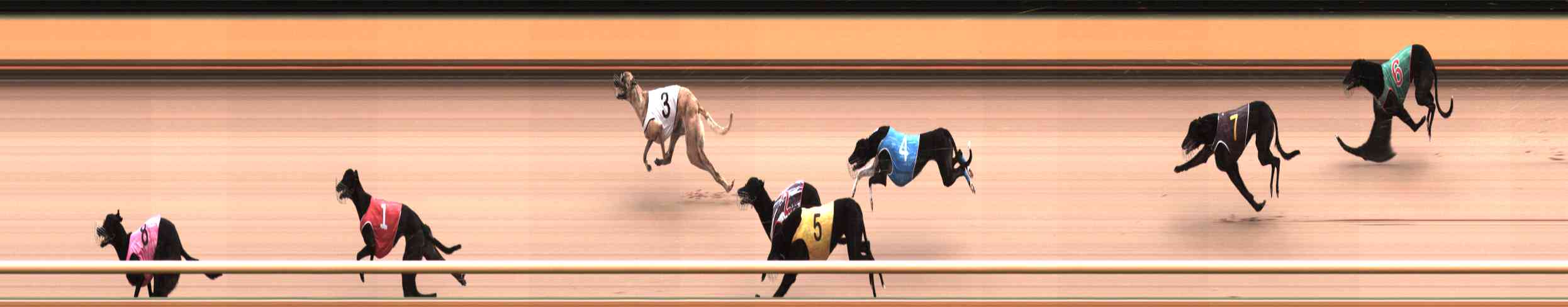 Photo finish for Healesville Race 5